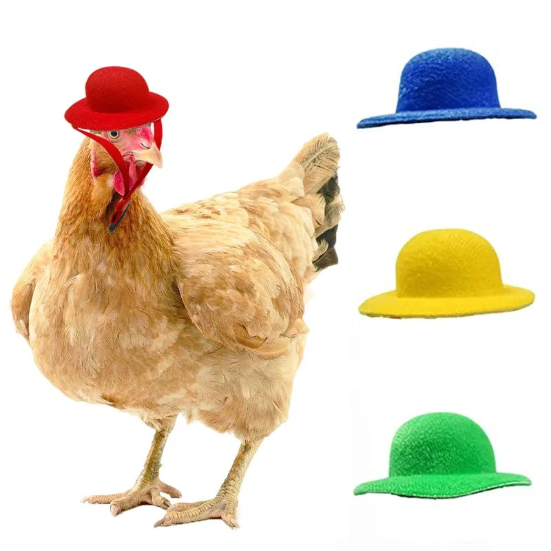 

Chicken Hat for Hens Tiny Pets Funny Chicken Accessories Hen Top Hat for Rooster Duck Parrot Hamster Poultry Stylish Show Costum