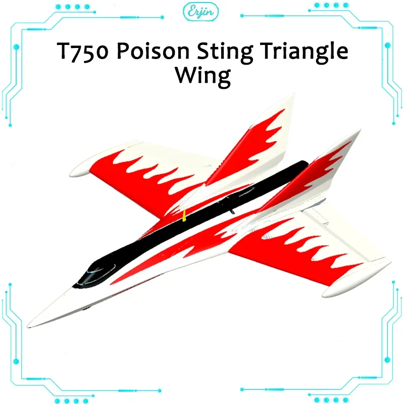 Canglang Aircraft Model High Speed Triangle Wing Racing Aircraft Tail Pusher T750 780 Stinger Triangle Wing Aircraft