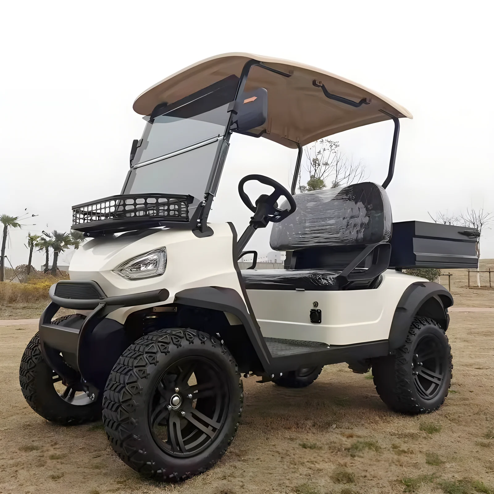 عربة جولف كهربائية عصرية وعالية الجودة 2/4/6/8/10 مقاعد، ترويج خاص، عربة جولف صغيرة، عربة صيد على الطرق الوعرة، إلخ #3
