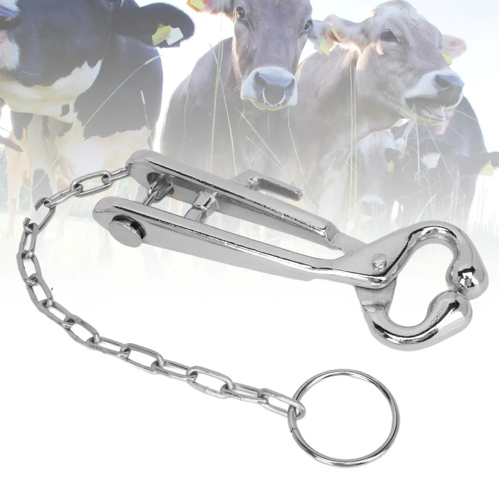 Stainless Steel Nose Ring Pliers Silver With Hook Cattle Nose Pliers Rounded Head With Chain Bull Nose Ring Pliers Farm Use