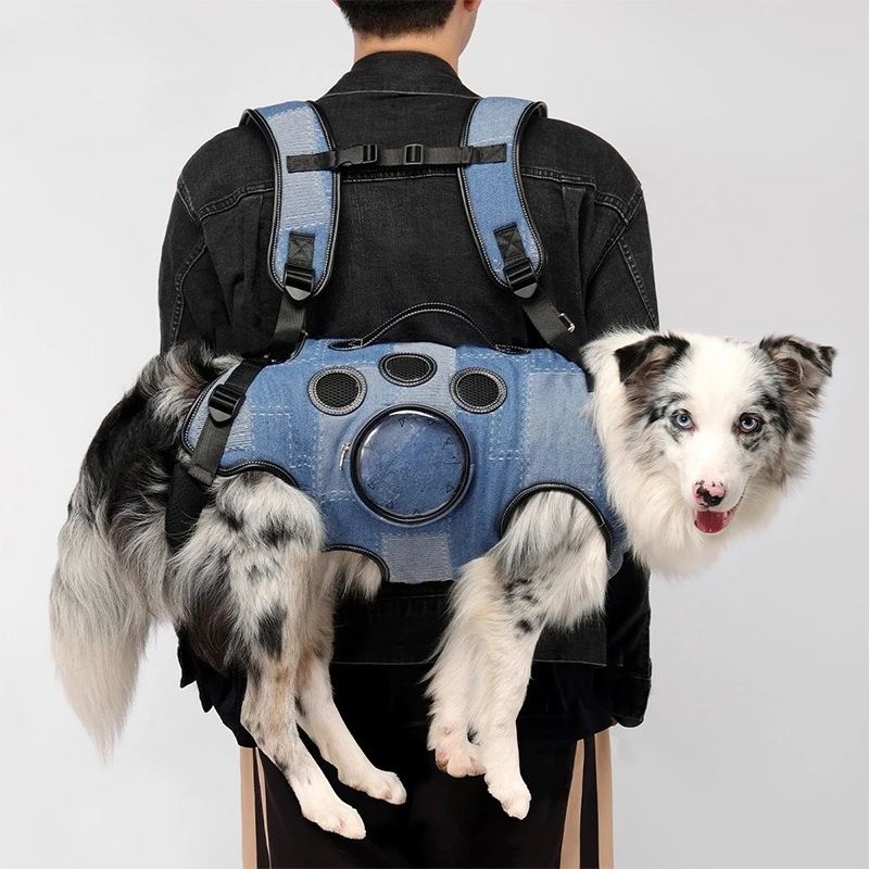 Backpack Small Medium Large Dog Riding Portable Artifact