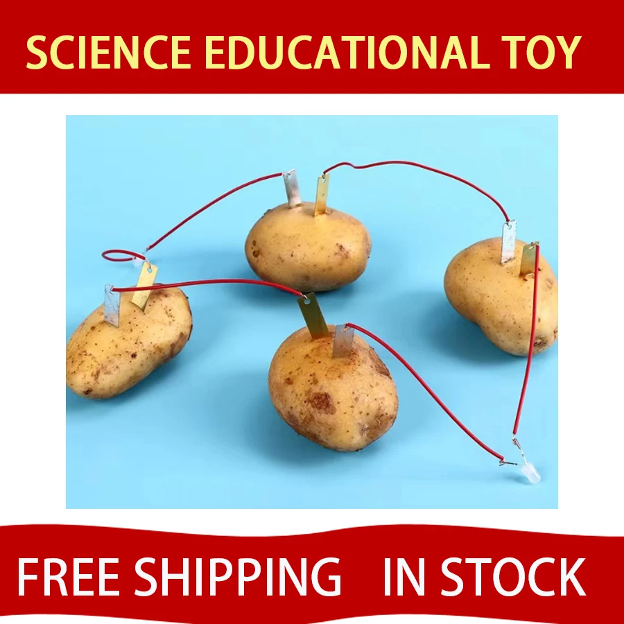 5pcs Bio Energy Science Kit Potato Fruit Supply Electricity Experiments Kids Children Student Learining Science Educational Toy