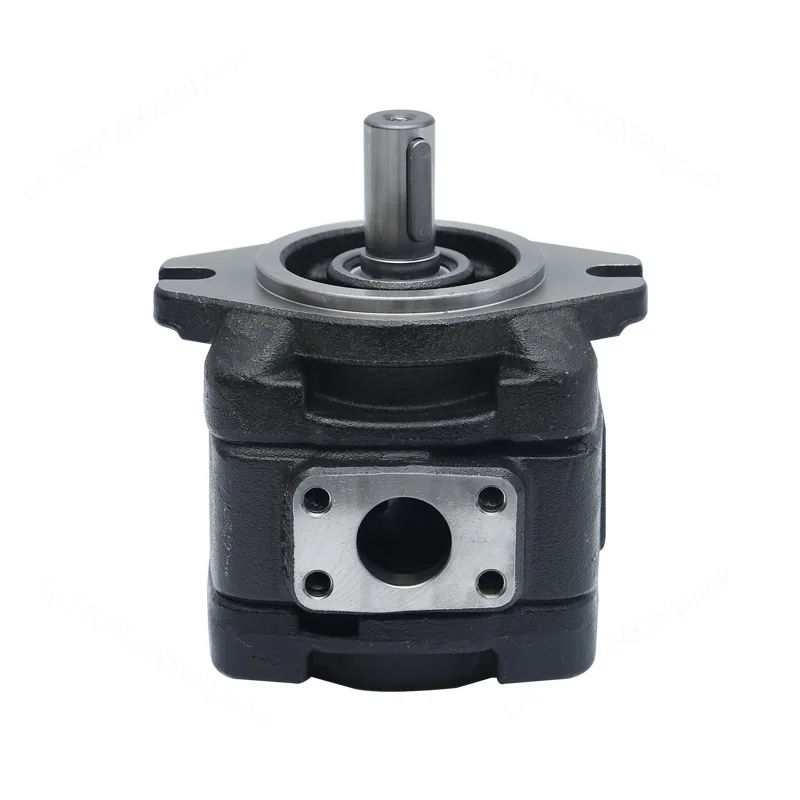Cast Iron Internal Meshing Hydraulic Gear Pump for Bending Machine Die Casting Machine Hydraulic System