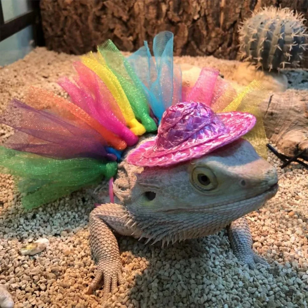 

Bearded Dragon Costume Hat for Lizards Tutu Skirt & Reptile Small Pet Costume Outfits Clothes Photo Props for Geckos Hamster Rat