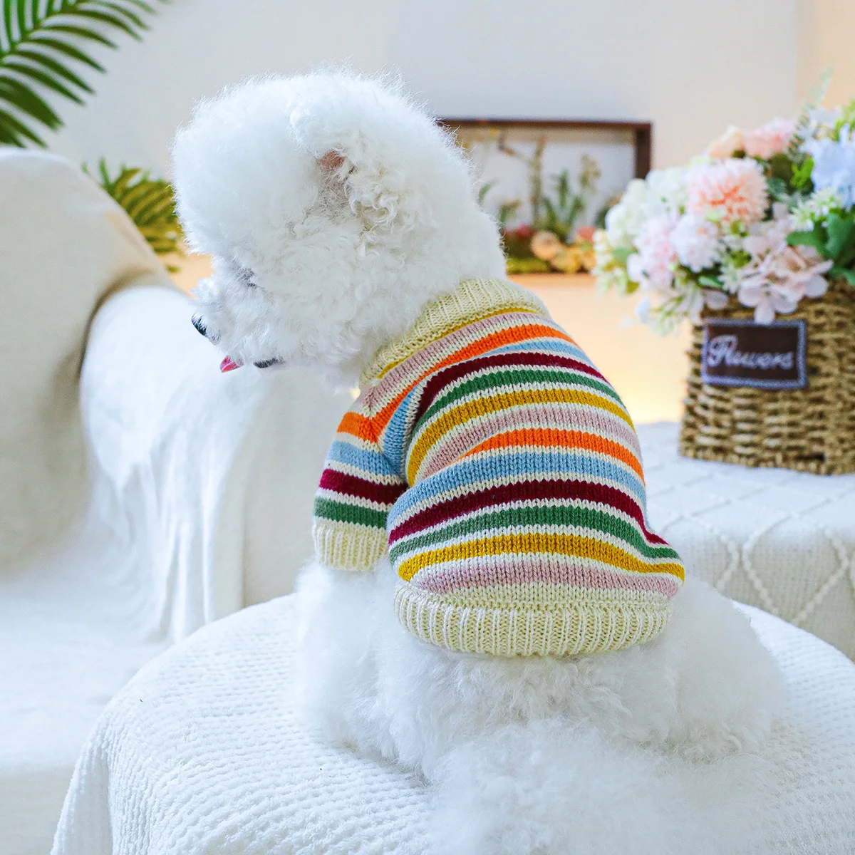 1PC pet clothing dog cat spring and autumn pullover rainbow mood sweater suitable for small and medium-sized dogs