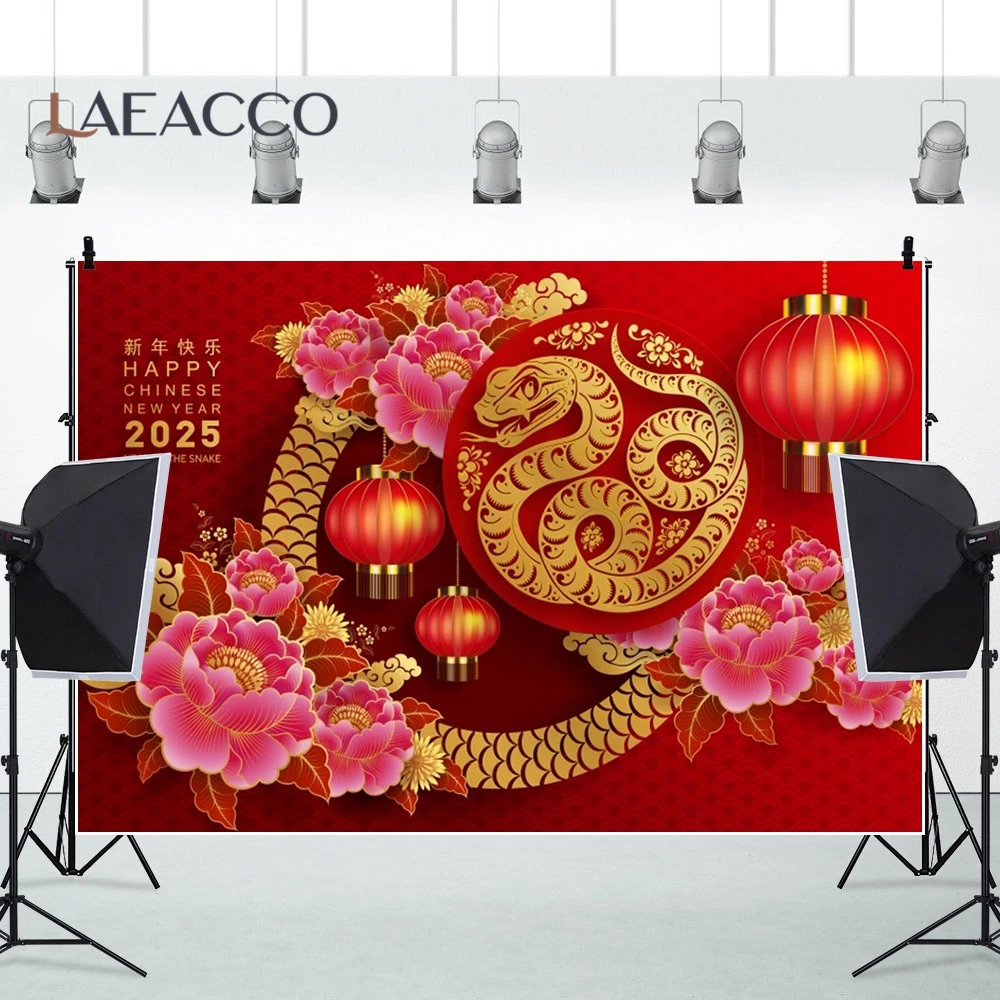 Happy New Year Festivals Red Lantern Old Orient Chinese Building Family Party Photographic Background Indoor Photocall Backdrop