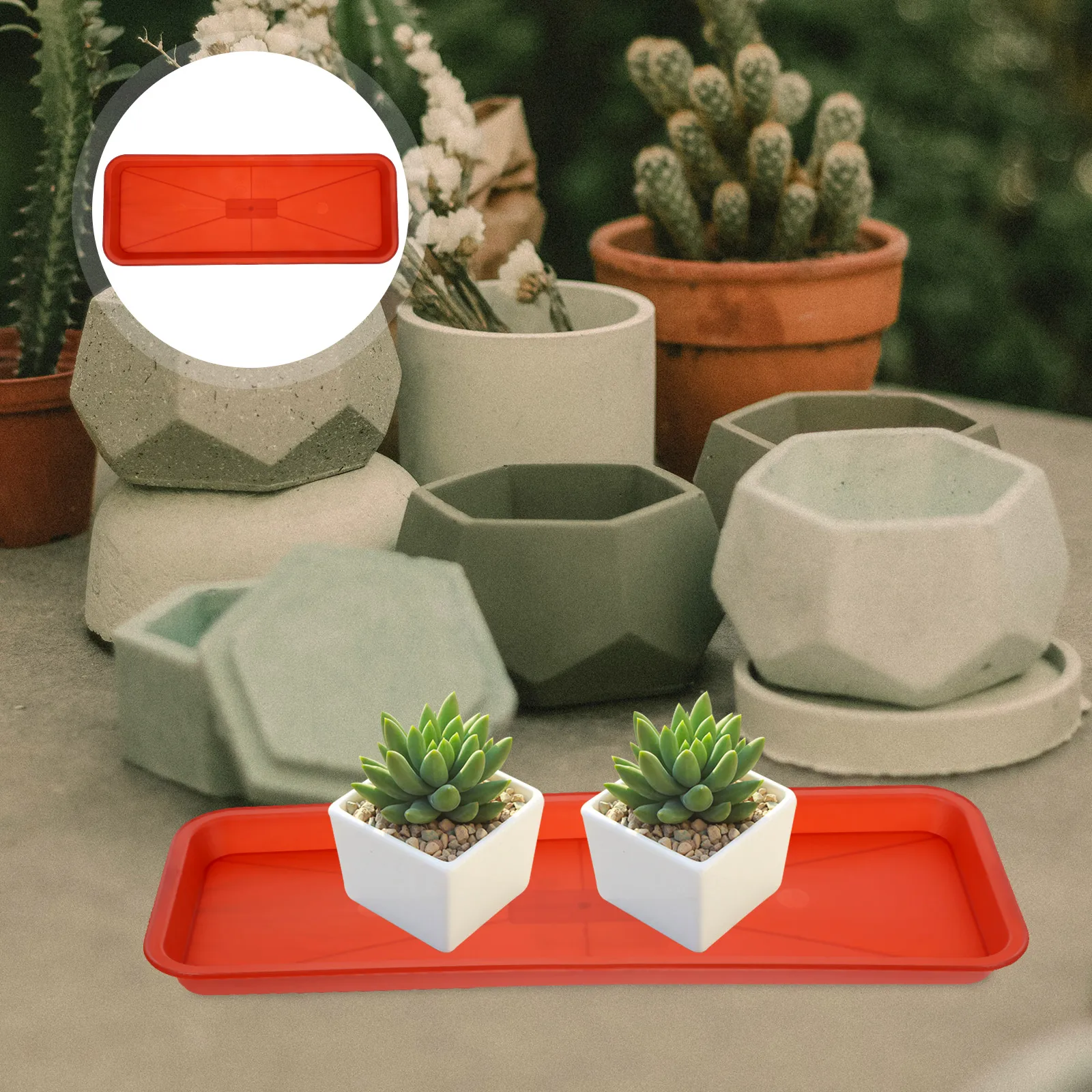 

10pcs Plastic Tray Rectangular Plant Saucers Durable PP Water Catcher Flower Pot Trays Drainage Planter Potted