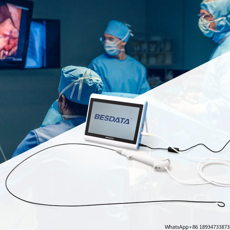 Gastroscope BESDATA good price Flexible Digital Video Single Use gastroscope and colonoscope human