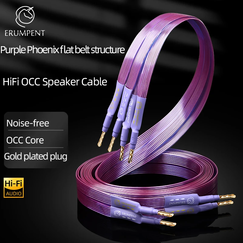 HiFi OCC Speaker Cable Hi-end Pure Copper Flat Belt with Serrated Solid Gold-plated Banana Y Plugs Cable for Speaker Amplifier