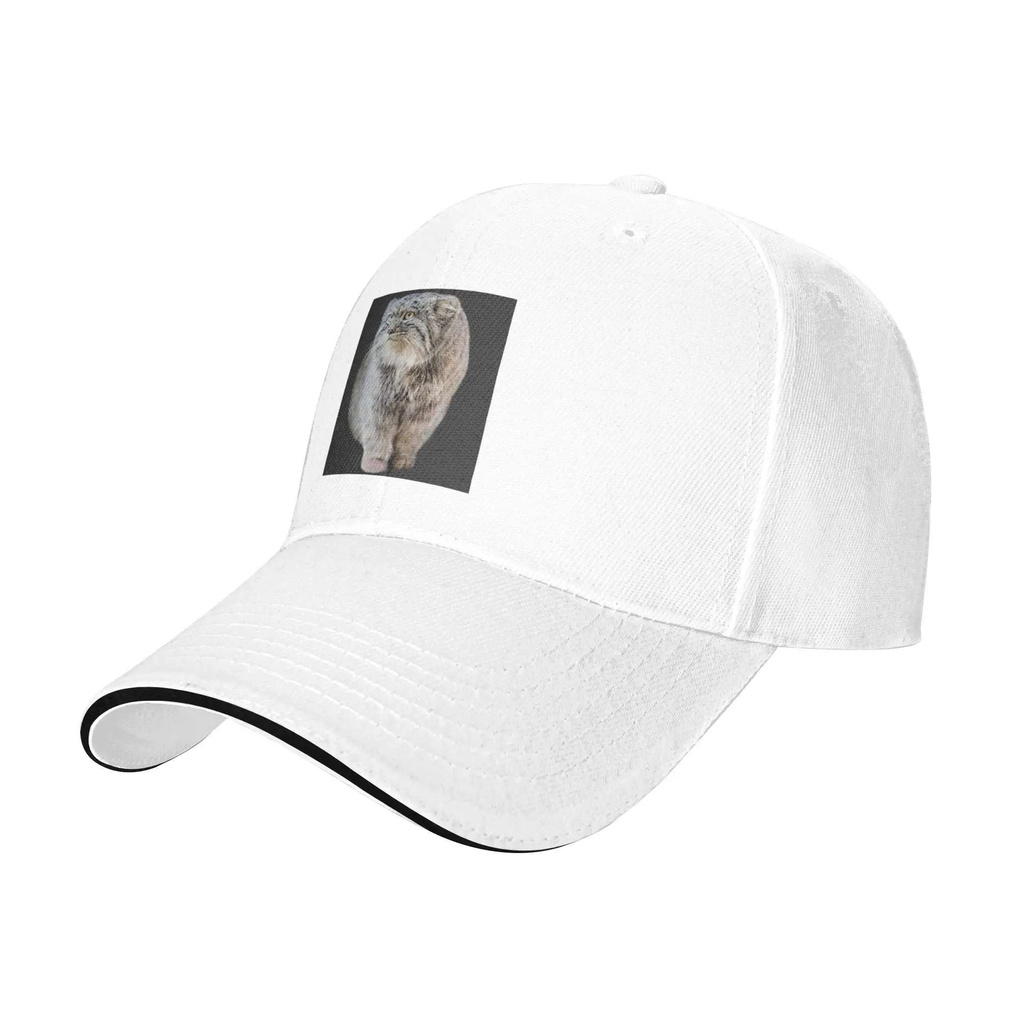 Round Pallas Cat Cap Fashion Casual Baseball Caps Adjustable Hat Hip Hop Summer Unisex Baseball Hats Customizable Polychromatic