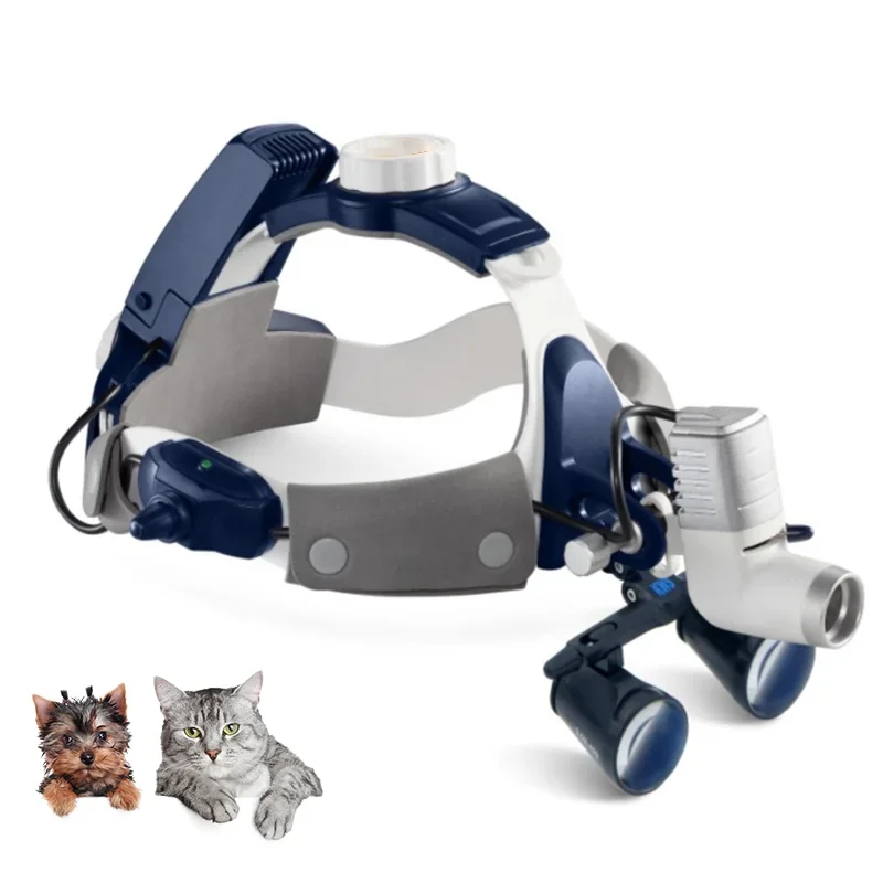 Portable Adjustable Shadowless Head Veterinary Medical Headlight for ENT Surgery Clinical Examination