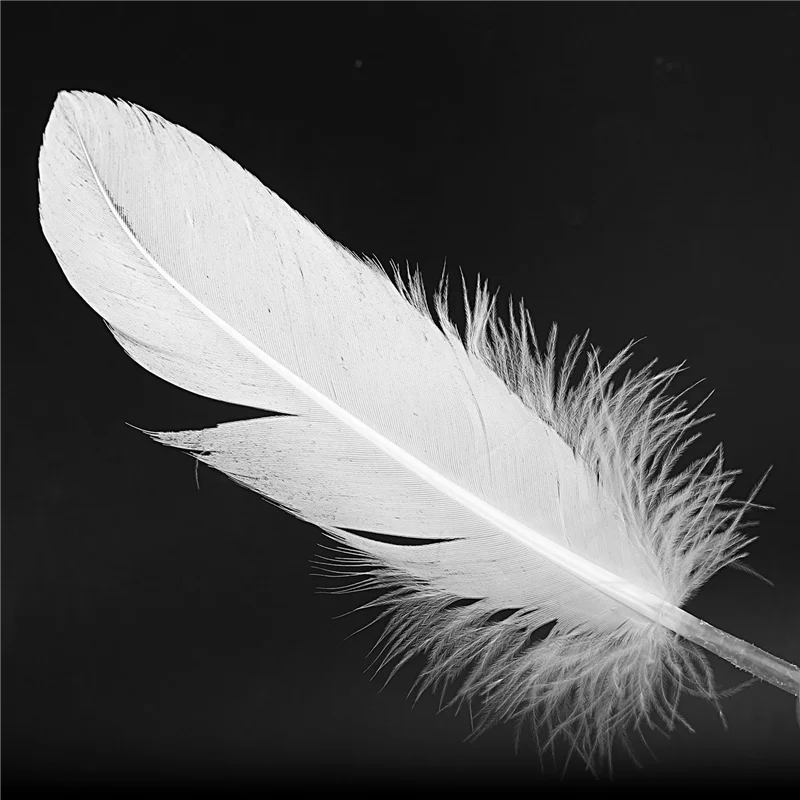 AOAO-300Pcs de plumas blancas, artesanía de ganso para sombreros de fiesta, manualidades, decoración de boda, 15-22Cm