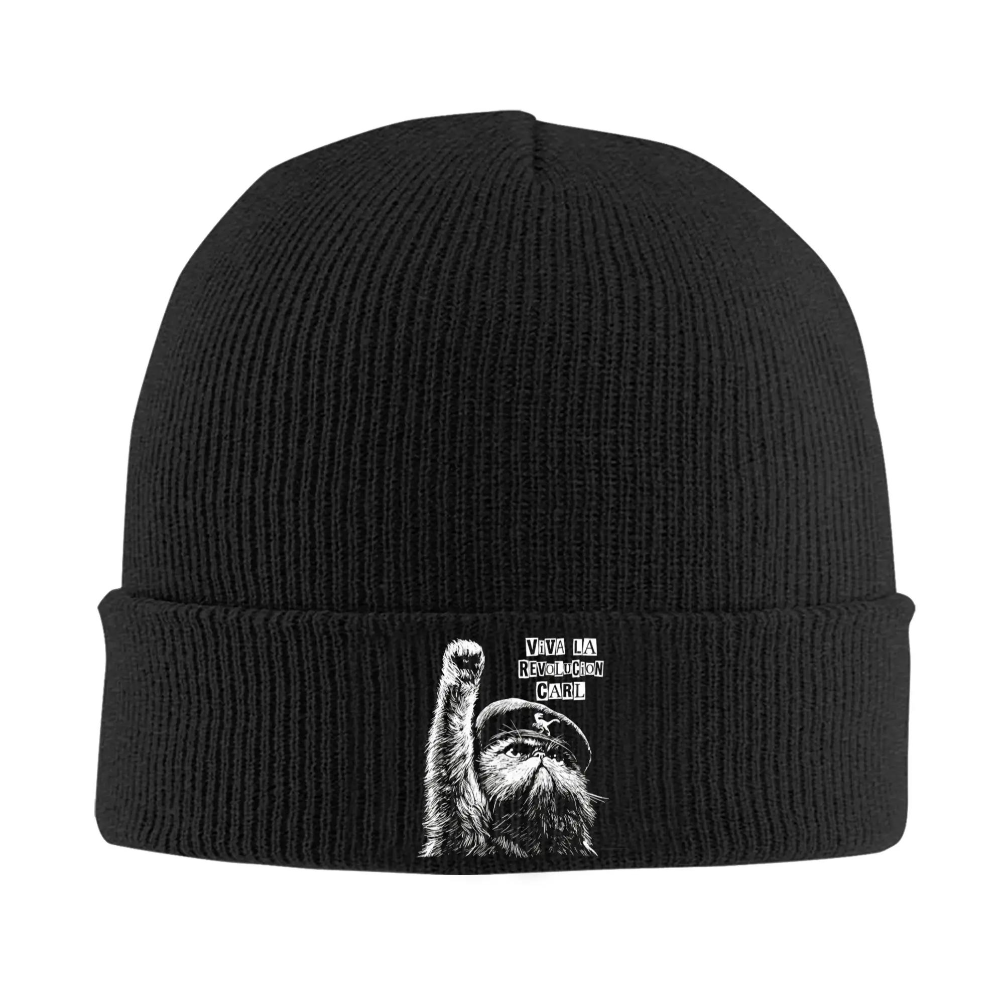 Viva La Revolucion Carl Dungeon Crawler Carl Beanie Hats  Bonnet Hats Men Women Street Outdoor Sport Knit Hat Head Wrap Caps
