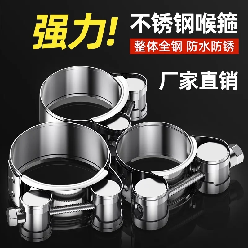 Hose Clamp Stainless Steel Quick Release Fixing Clip Gas Pipe Oil Heavy Duty Worm Drive