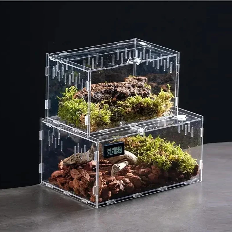 

Прозрачный акриловый контейнер-террариум для ящериц, прыгающих пауков, морских черепах, хомяков, гекконов. Аксессуары для рептилий.