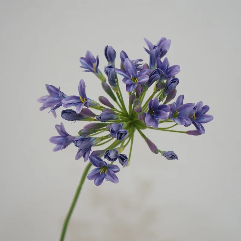 75 سنتيمتر Agapanthus الأفريقي الزهور الاصطناعية الفاخرة الطفل التنفس طويل الجذعية الزفاف المنزل الجدول غرفة ديكور الحفلات زهرة الفوشيه #4