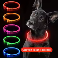 Pet Dog LED Light Collar Luminous Anti-Lost Dog Collar USB Rechargeable Dog Necklace Collar