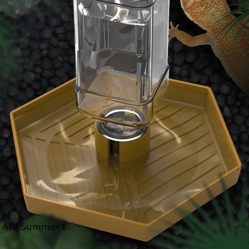 Thumbnail 2 - #5 Trending Reptile Water Bowls Right Now