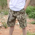 Flecktarn Camo