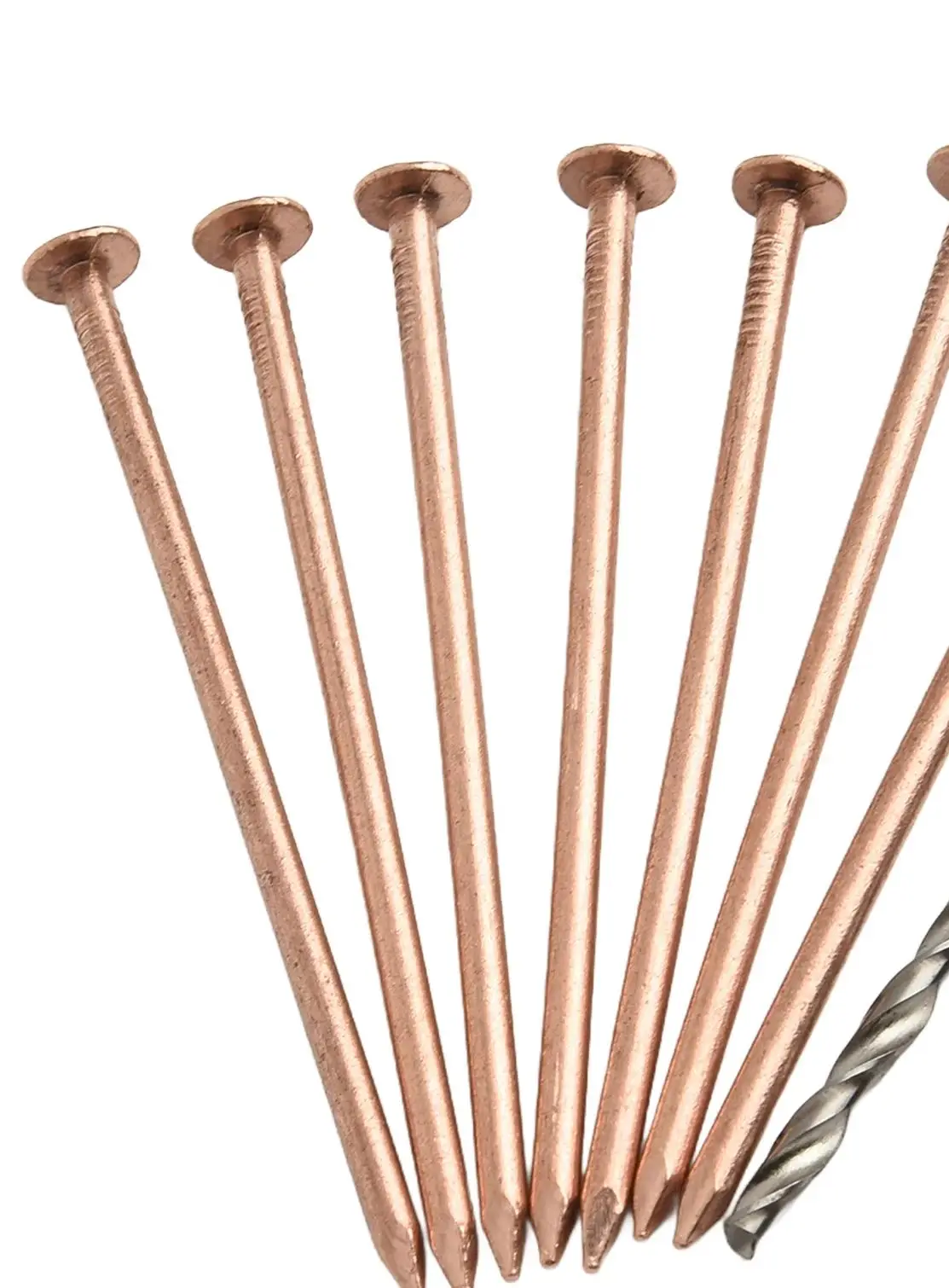 

Набор медных гвоздей 4/3,15 дюйма для удаления пней и корней деревьев, гвозди для удаления пней, инструменты для обработки деревьев, удаление пней