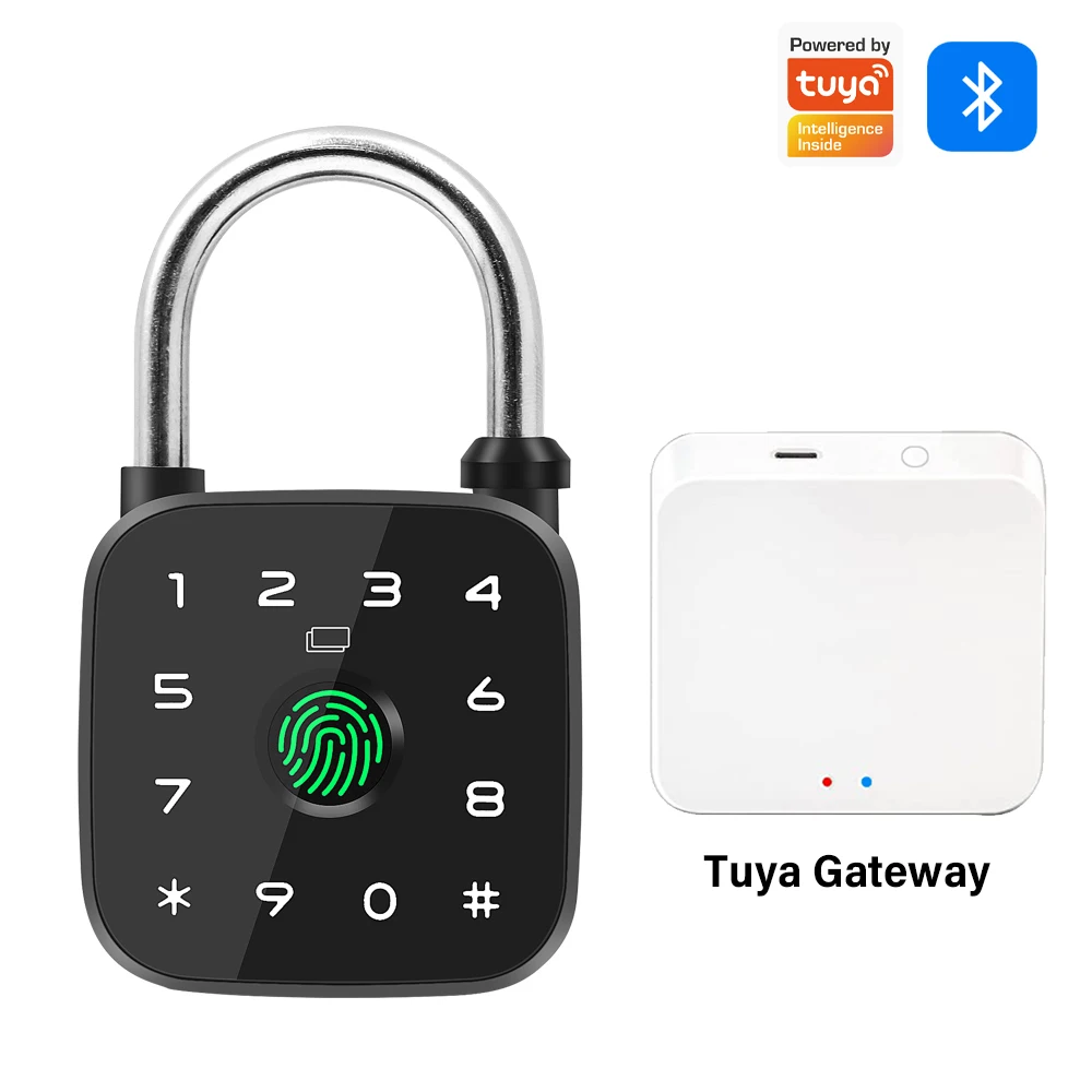 Intelligent Fingerprint Padlock Supports Tuya APP RFID Card Type-C Emergency Power Waterproof Outdoor Key Door Lock gallery 2