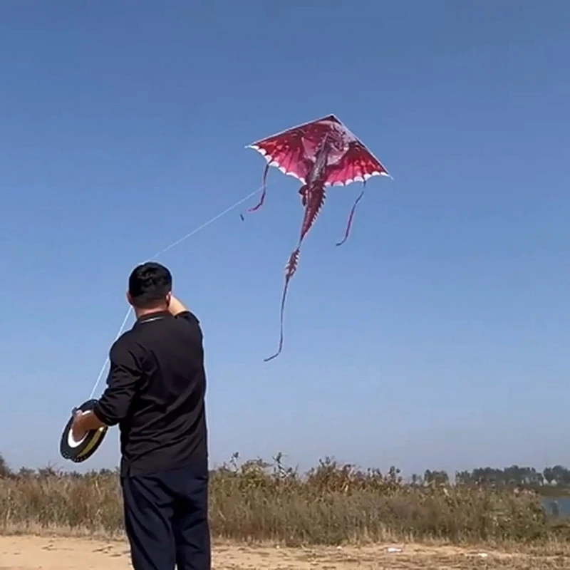 Aquilone de dragão pterosaur de 1,4 m para crianças e adultos, brinquedo de brincar ao ar livre com cauda, fácil de voar