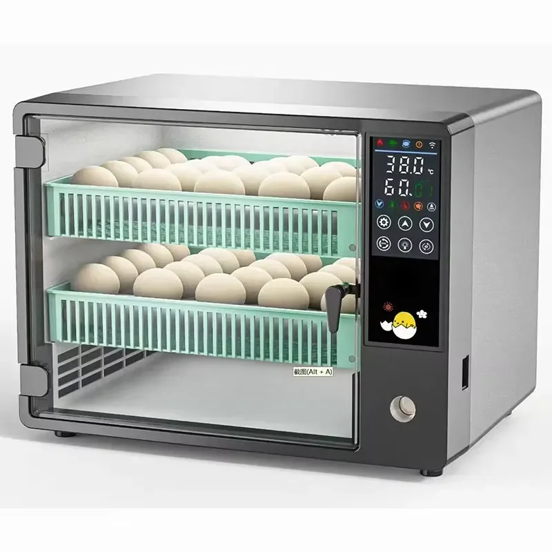 for  Automatic Mini Incubator 50 Eggs Dual Power Supply Stylish Design