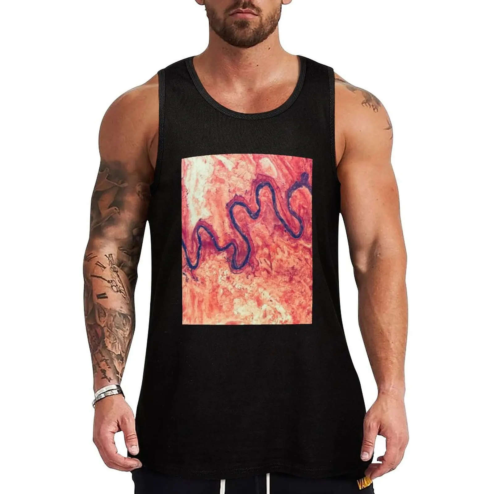 San Juan River Tributary Utah Aerial Landscape Tank Top Lounge Tank Top Casual Sleeveless Loose Relaxed Top