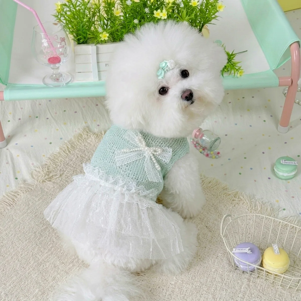 Vestido de punto con encaje y lazo para perros pequeños - imagen 5