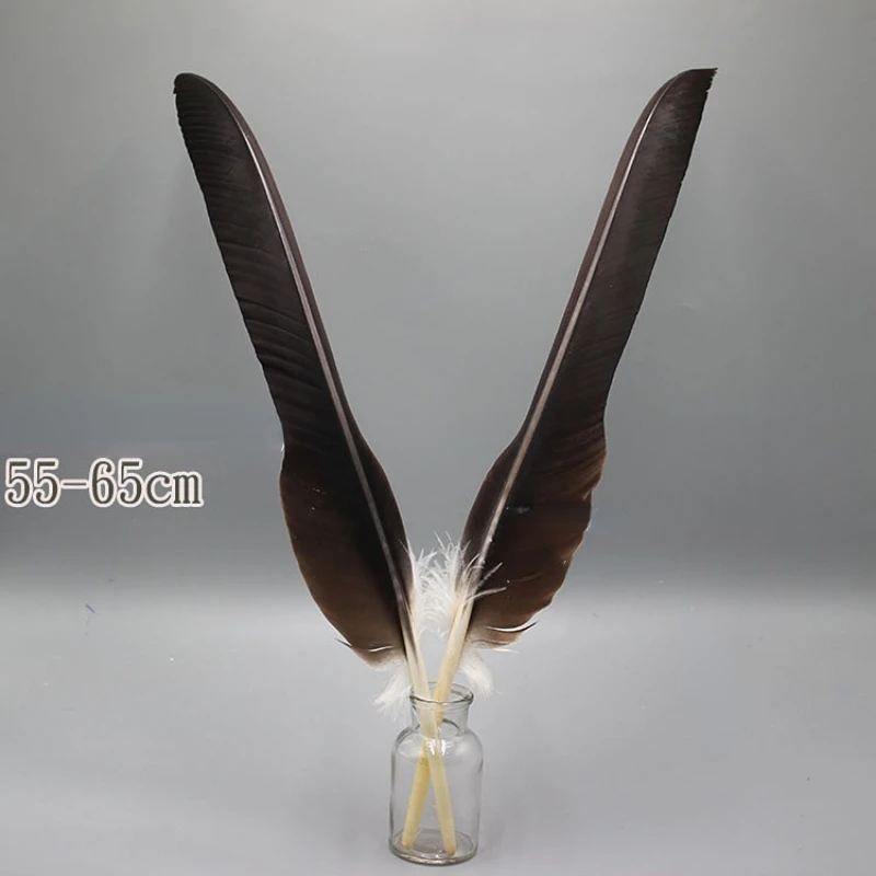 2PCS Rare Eagle Feather Handicraft Specimen Feather Decoration Big Feathers Home Decor Bird Feathers