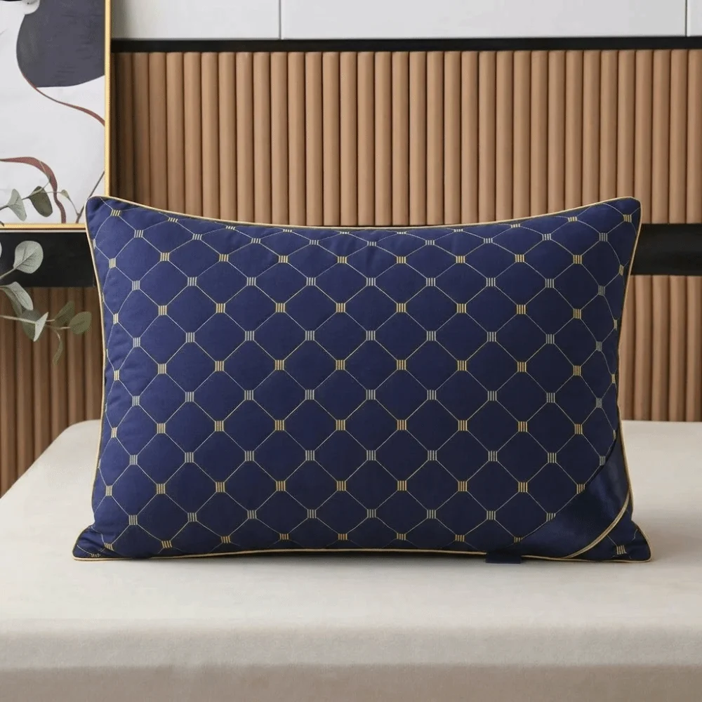 High Quality 48x74CM Hotel Pillows Hotel-Grade Sleep Aid Cervical Spine Protection Pillow Sleep Aid Pillow Home Use