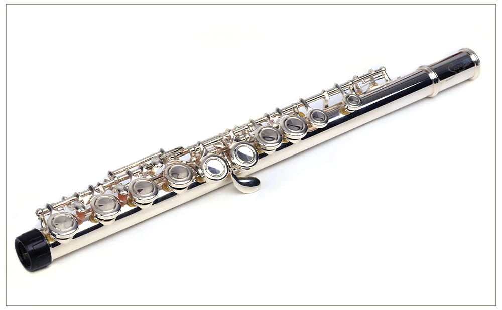 

Hooqu Silver Plated Steel 16 Holes Flute Flute Customized Flutes With Case