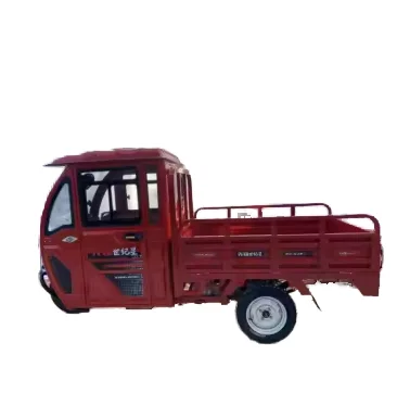 

Electric cargo tricycle, 2-door fully enclosed cab electric tricycle