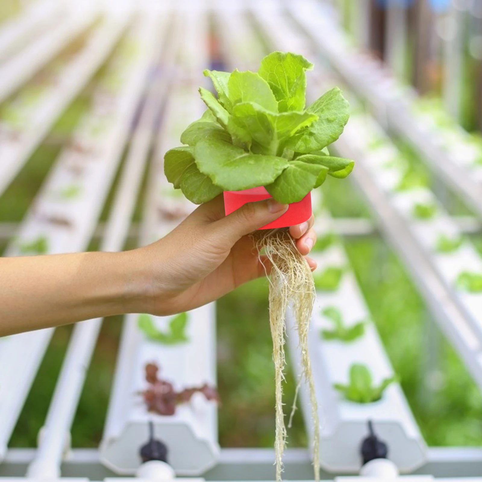 

50pcs Hydroponic Soilless Cultivation Cross Hole Plant Growing Medium Vegetable Fruit Seedlings rooting plugs garden