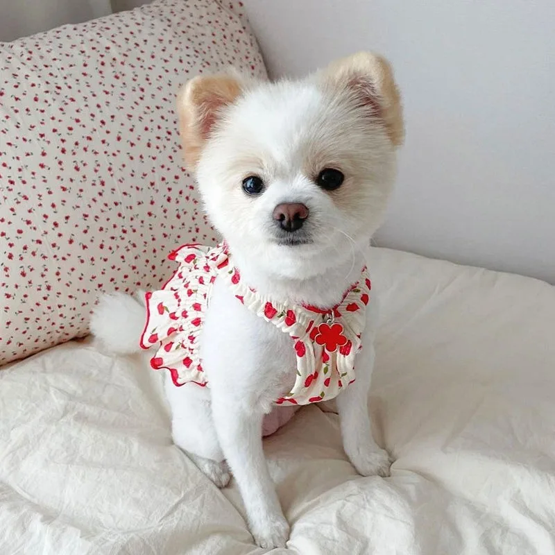 

Red Petunia Dog Skirt Summer Teddy Dress Small and Medium Dog Breathable Halter Female Dog Princess Skirt
