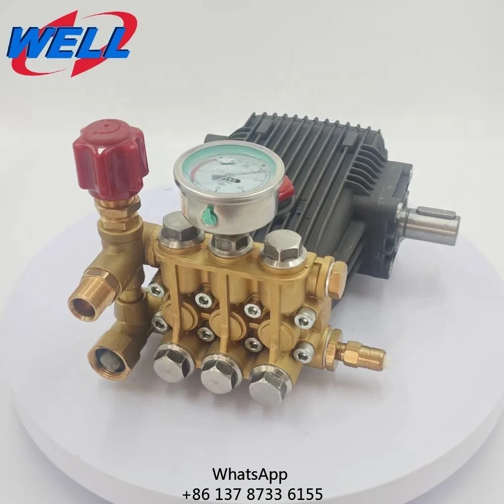 

WEITE 1814B New High Pressure Plunger Pump For Car Wash Shop Cold Water Cleaning 248Bar 15.5L/Min Heavy Duty Electric