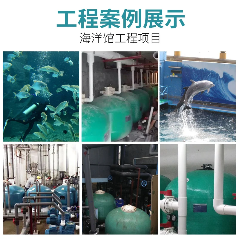 Swimming pool side outlet sand tank filter circulating water pump hot spring bath water treatment engineering equipment