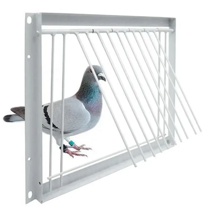 

Дверца для голубятни ABDJ-Pigeon Loft - съемная конструкция с одним входом для легкого доступа к голубятне