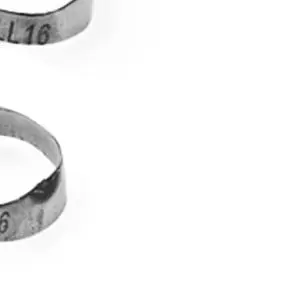 

80Pcs Orthodontic Molar Bands MBT/ROTH 16#-35# Dental Arch Wire Rings Straight Plain Band Orthodontics Tools