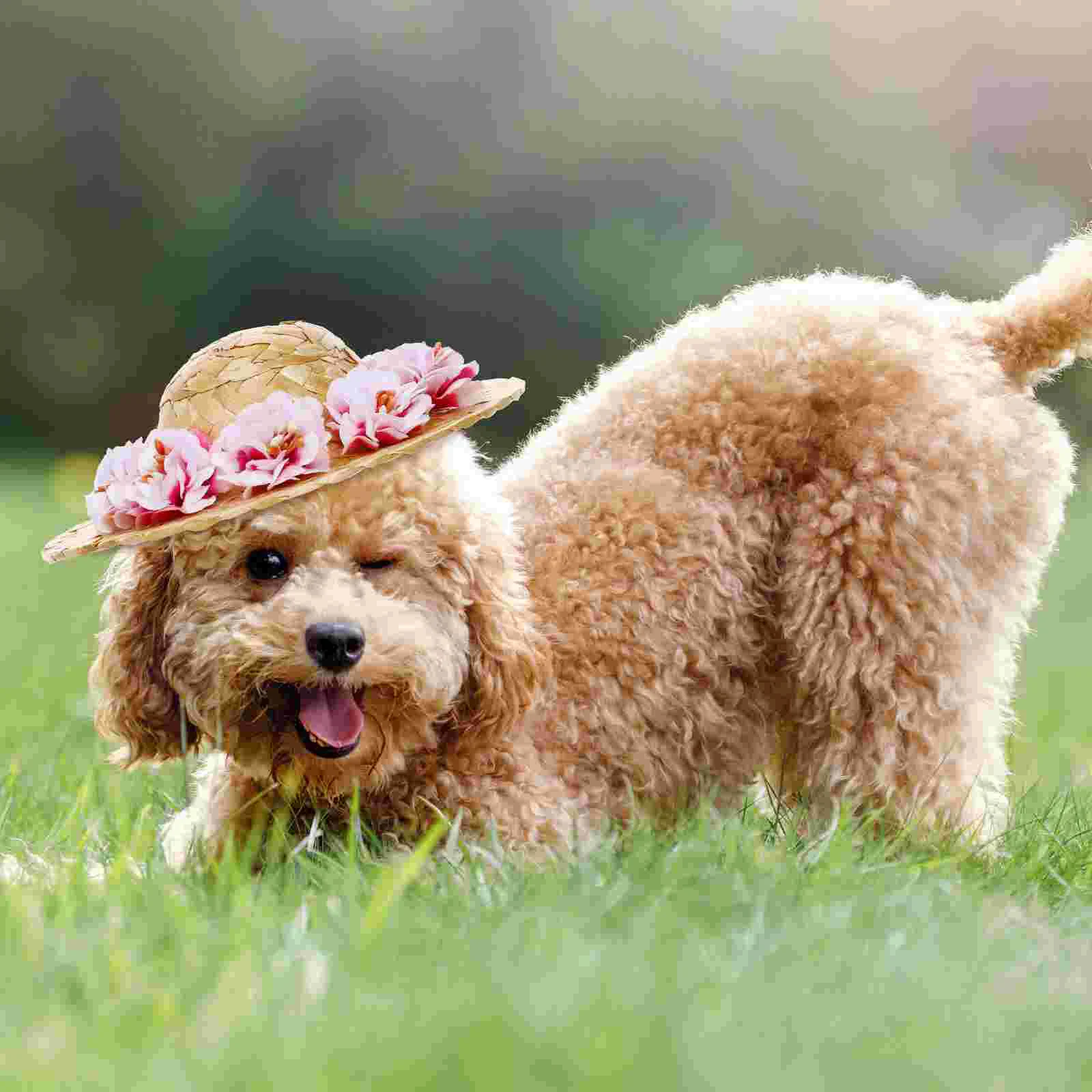 Pet Flower Straw Hat Dog Spring Summer Woven Straw Hat Costume Accessory Size S (Pink Flower, Random Style of the Drawstr