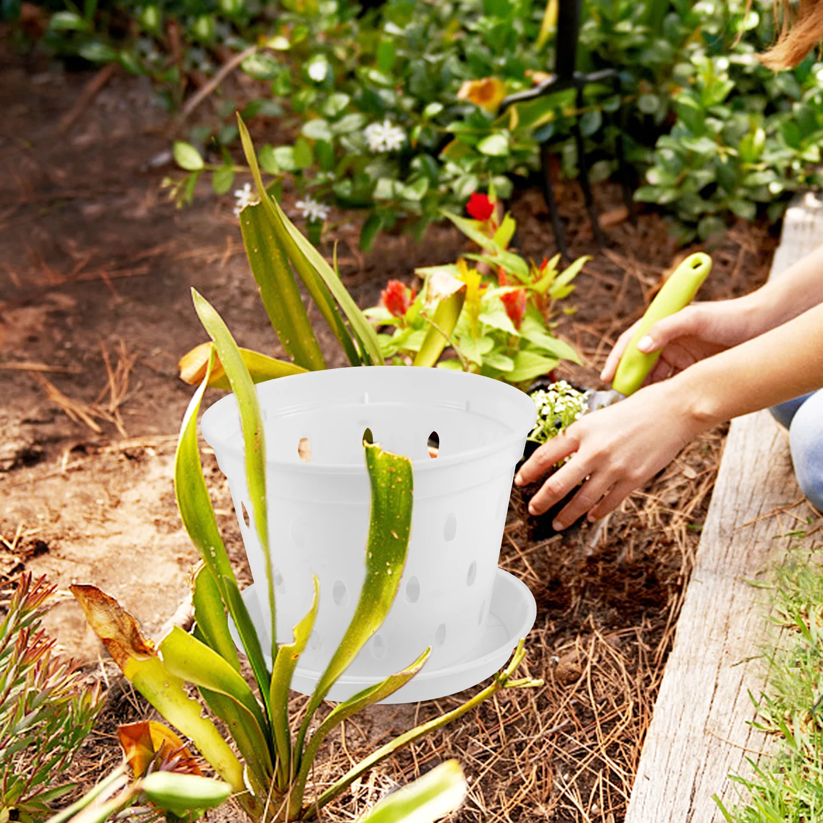 

5Sets Transparent Plastic Orchid Pots Slotted Drainage Holes Garden Flower Pot Indoor Outdoor Planter for Healthy Plants