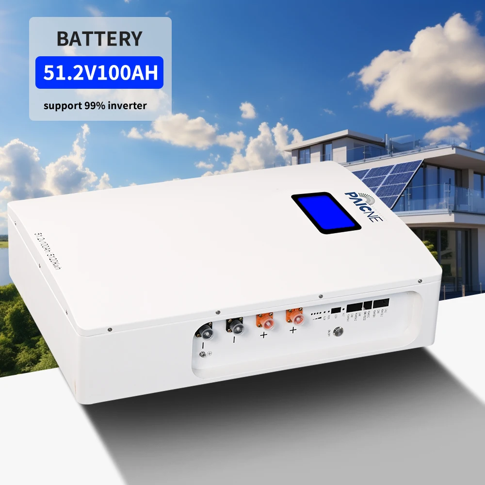 PAICHEN Smart 48V Power Wall Home Lithium Ion Battery Pack 51.2V 200Ah Solar Energy Storage Lithium Battery