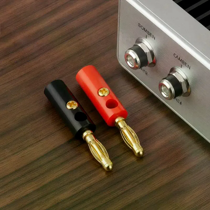 Набор из 10 шт. 4-мм разъемов  – обзор и цена Diy Audio Electronics Projects