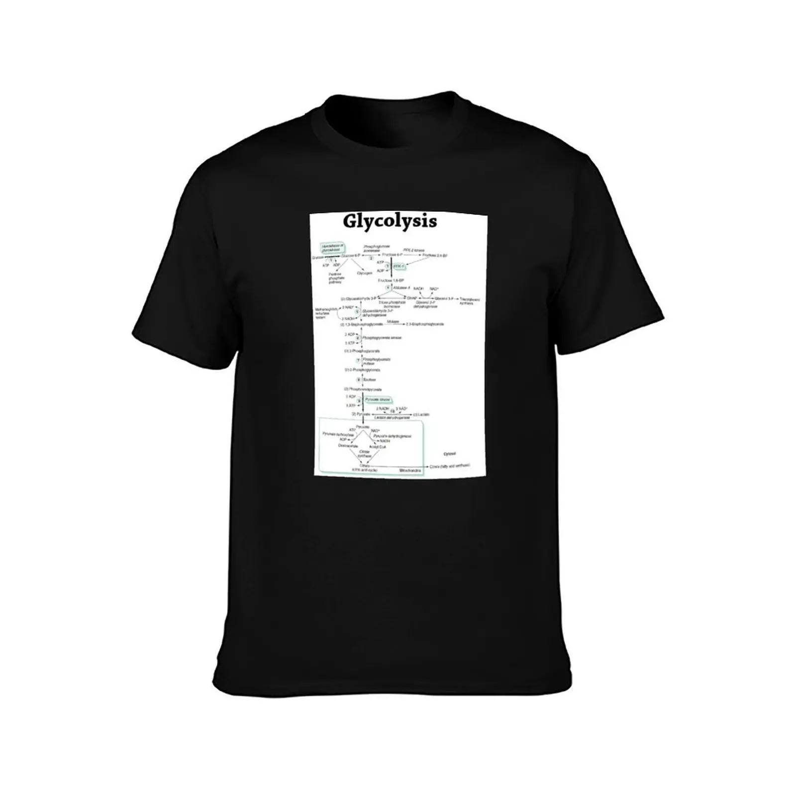 Glycolysis pathway biochemistry biochemical T-Shirt Classic Graphic Short Sleeve Top T-Shirt