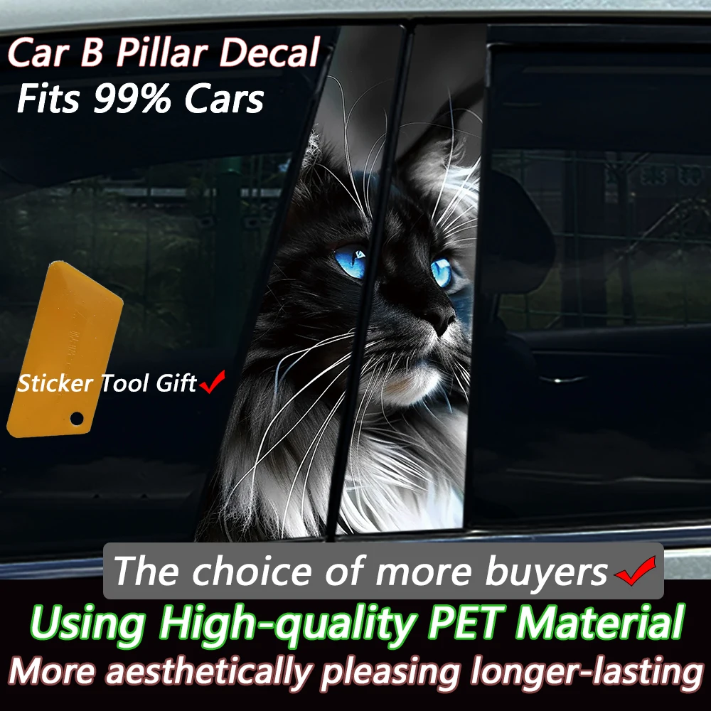 2PCS 3D Black White Maine Coon Cat with Blue Eyes Car B Pillar Decal, Upgrade PET Material, Customizable Waterproof Auto Sticker