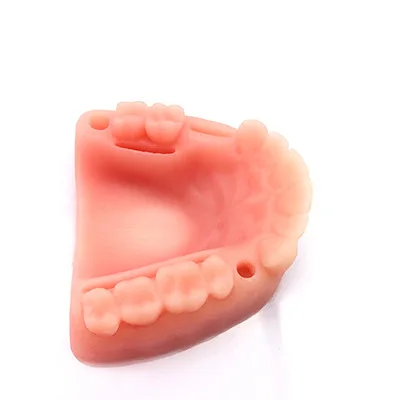 Module d'enseignement et de formation en silicone simulé pour plusieurs plaies gingivales, moule de suture dentaire pour étudiants en médecine