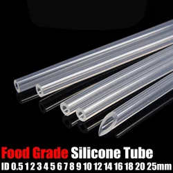 Tubo flessibile in gomma siliconica trasparente per uso alimentare da 2M ID 0.5 1 2 3 4 5 6 7 8 9 10 12 14 16 18 20 25 mm tubo flessibile in Silicone flessibile morbido tubo dell'acqua