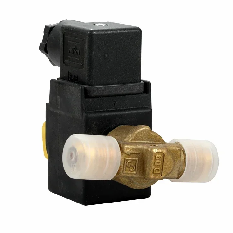 Cross-border Promotional High Security 2 Way Classic Den Solenoid Control Valves