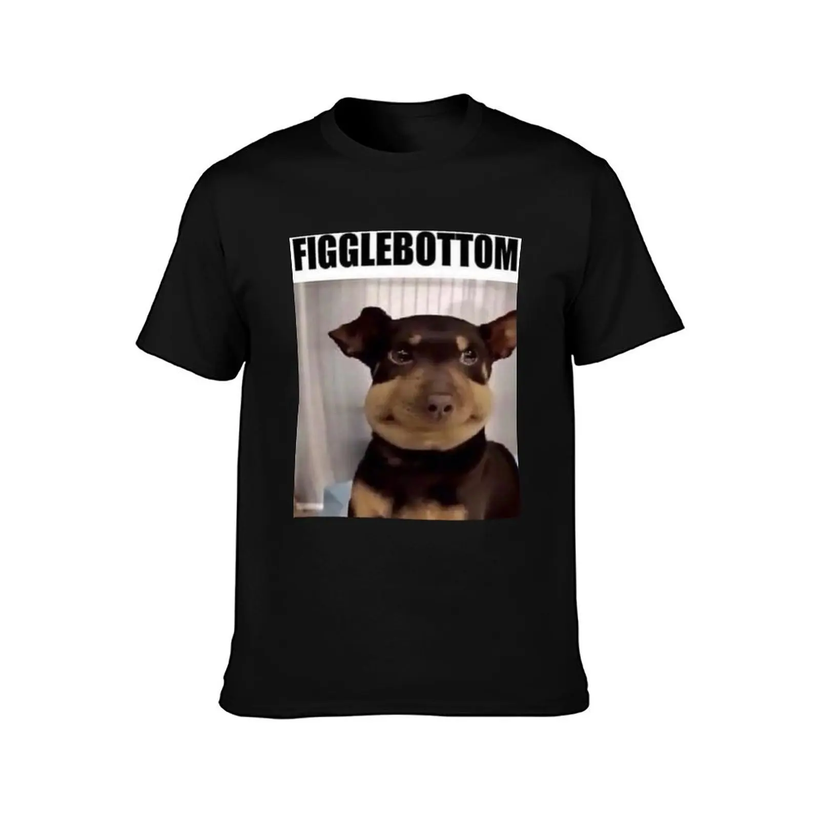 Figglebottom the Dog Meme Format T-Shirt Summer Casual Cotton Tee Oversized Streetwear Tops Vintage Graphic Print