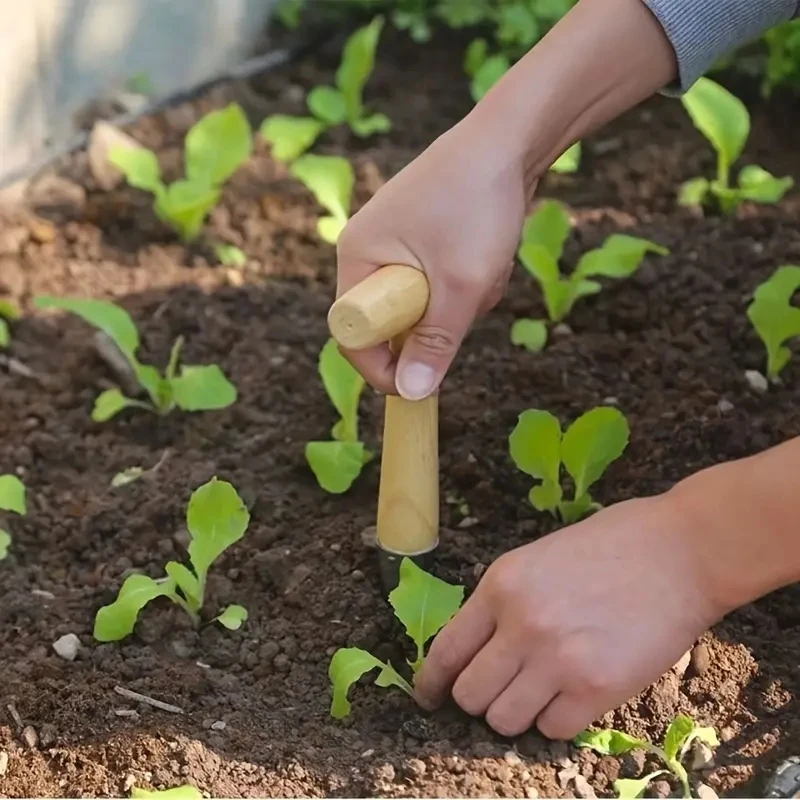Handsaug-Dibbler mit Holzgriff zum Aussaat von Samen, Umpflanzen von Pflanzen, Pflanzbirnen, Graben, Gartenarbeit, Garten, Locher-Werkzeug – Detail 4